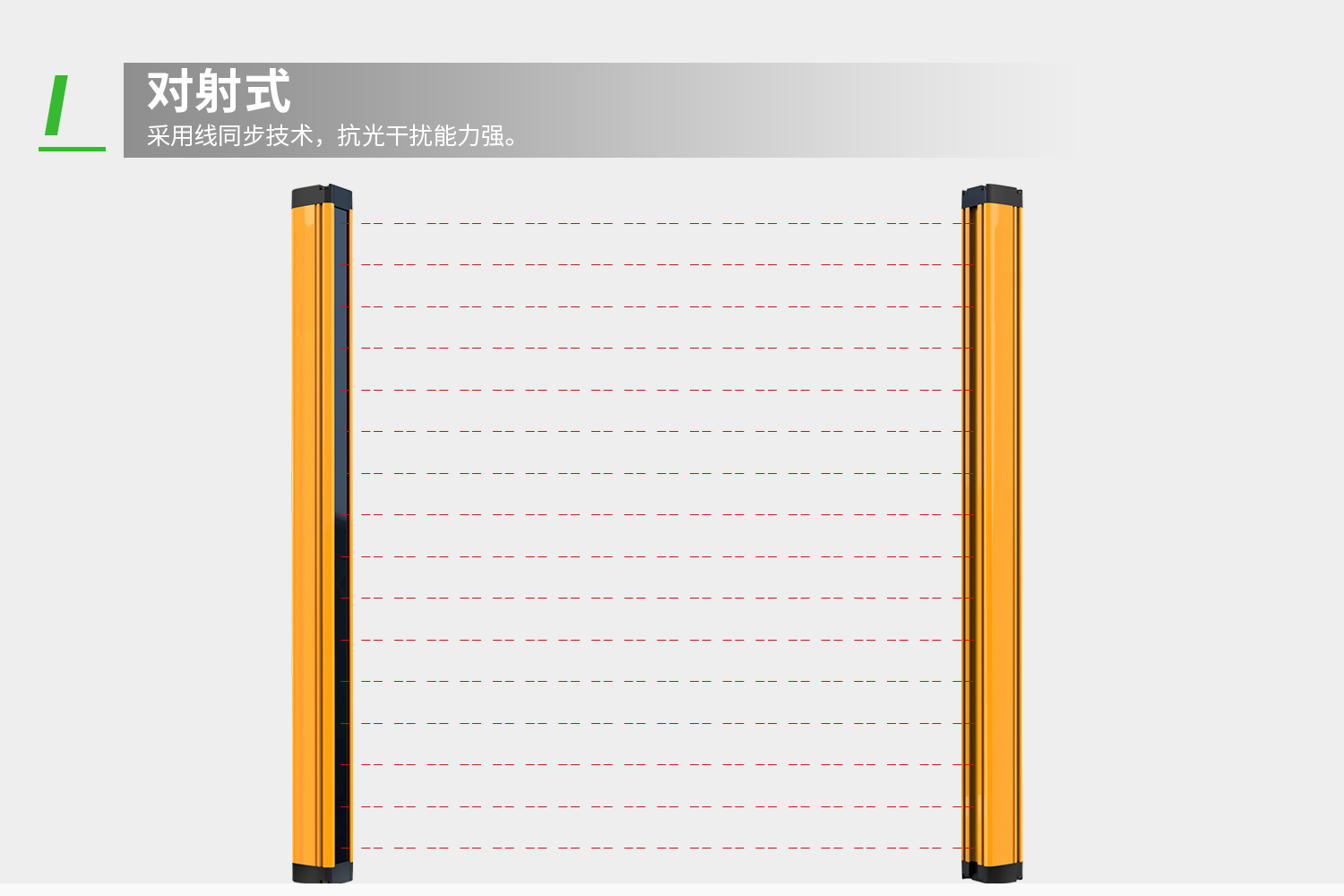 詳情-2.jpg