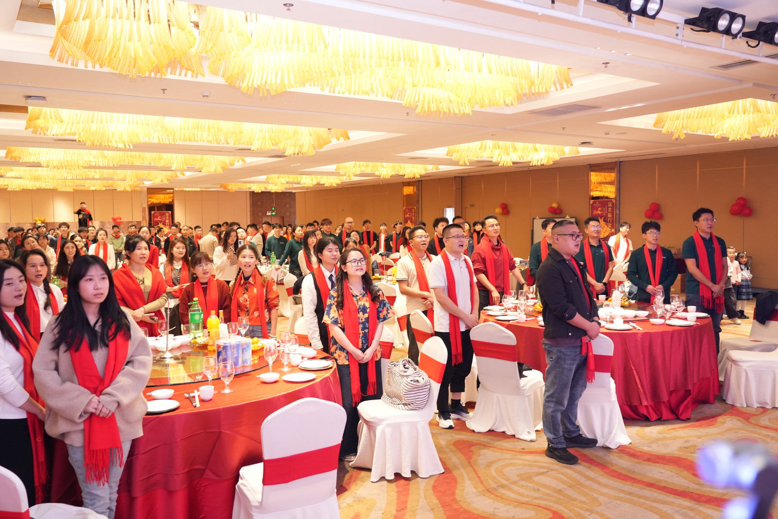 DSC08553-4384418849.jpg